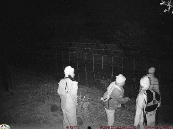 Night-vision view of a farm perimeter